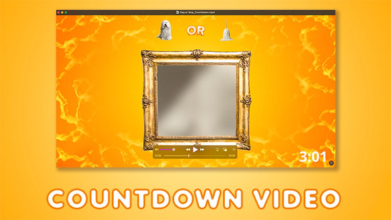 Dog or Mop: Countdown Video and Game